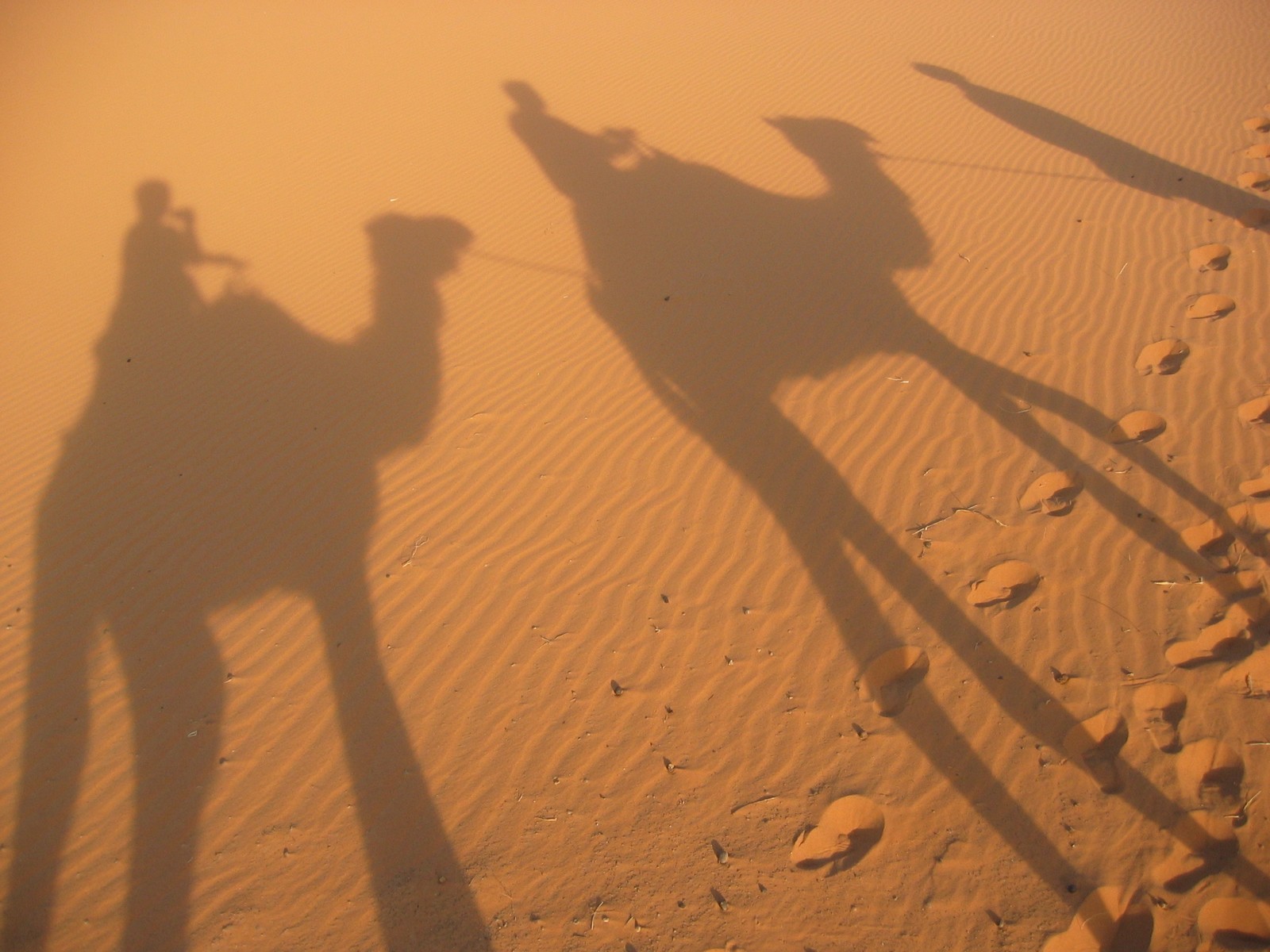 David & Brigitte in the Desert on Dromedaries, Photo by Brigitte Cheyrou